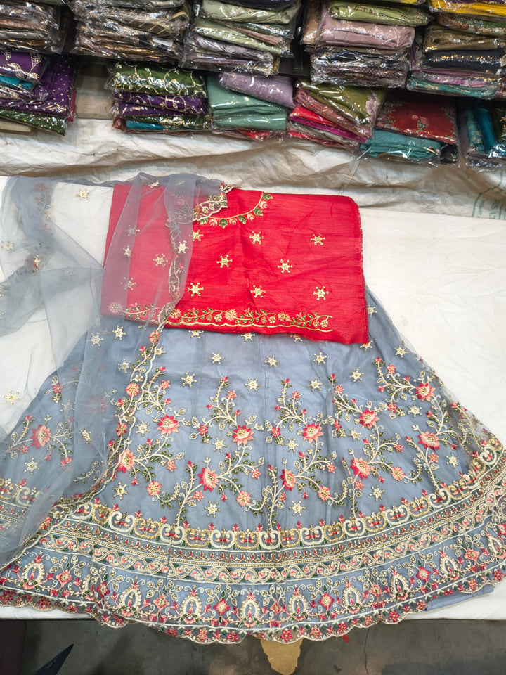 Grey Blue Embroidered Net Lehenga Choli with Red Blouse & Floral Border (Unstitched)